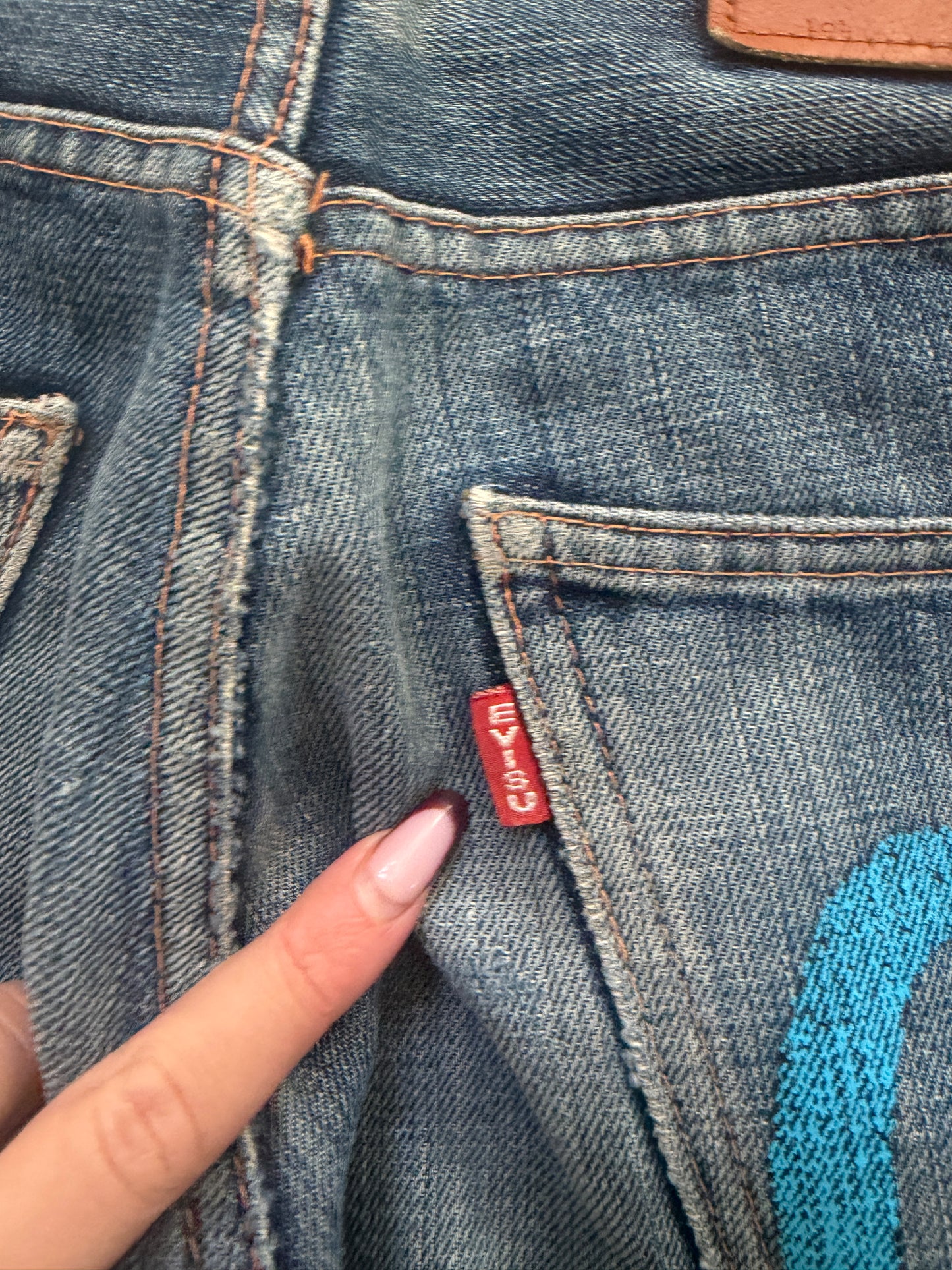 evisu jorts