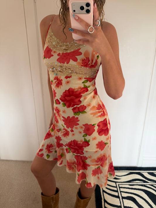 fairy dress