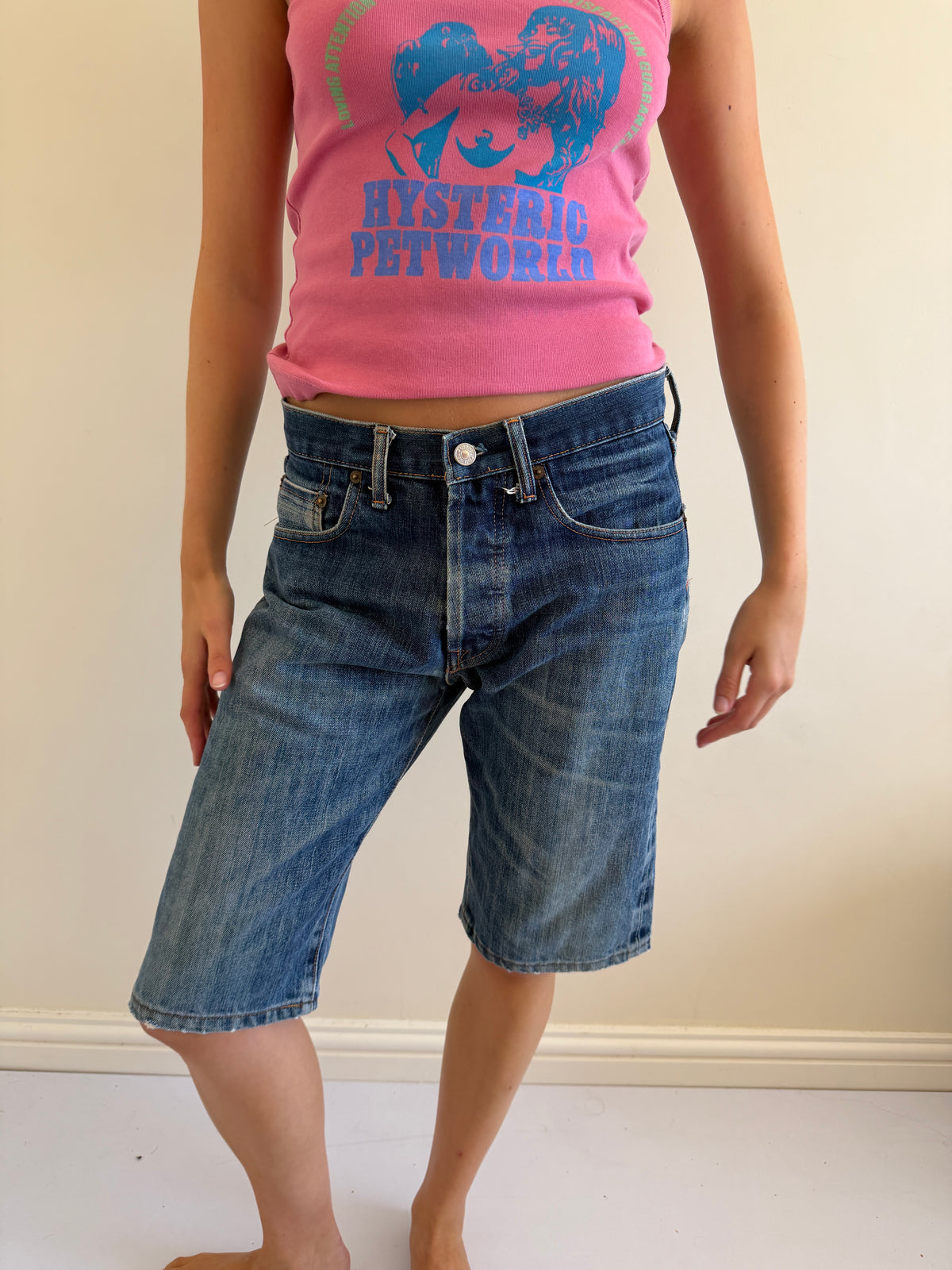 evisu jorts