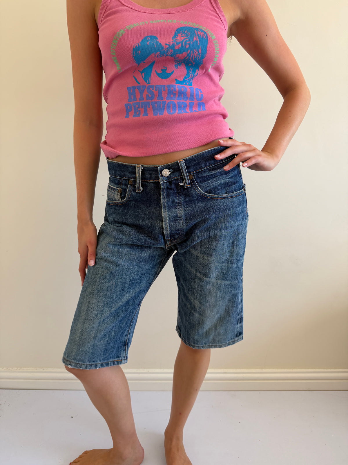 evisu jorts